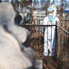 ​COVID more likely to spread through living than dead