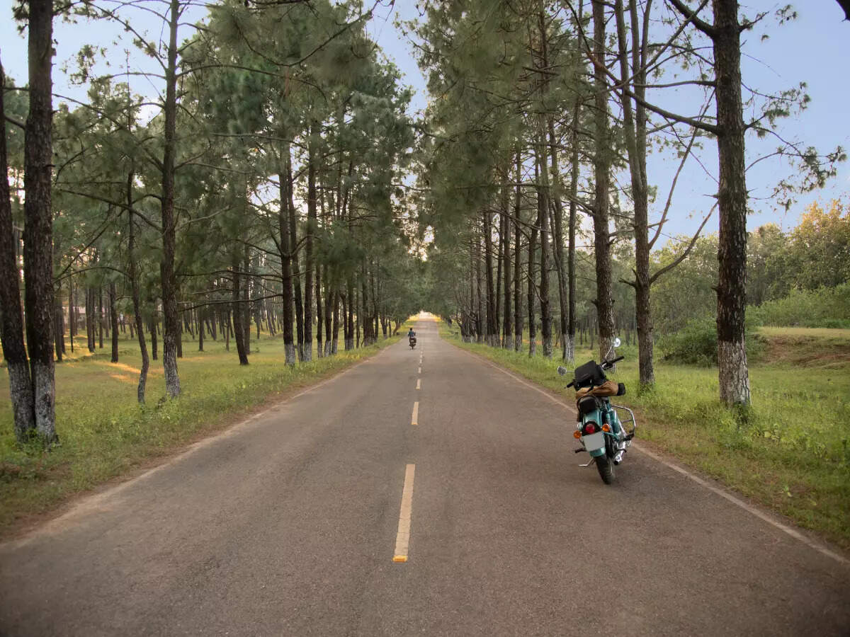 Check out Netarhat, Jharkhand's new ecotourism site 