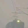 Article image for: Fog causes <i class="tbold">travel disruptions</i>