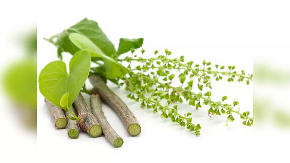 Guduchi (Tinospora cordifolia)