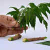 ​Dry Neem