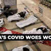 Article image for: China’s Covid-19 battle: Amid continuing surge in cases, Beijing ends <i class="tbold">international travel</i> ban from January 8