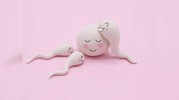 Anti-sperm antibodies