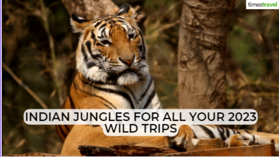 Best of Indian jungles for 2023!