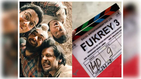 'Fukrey 3'