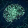 ​First-ever recording of a dying brain