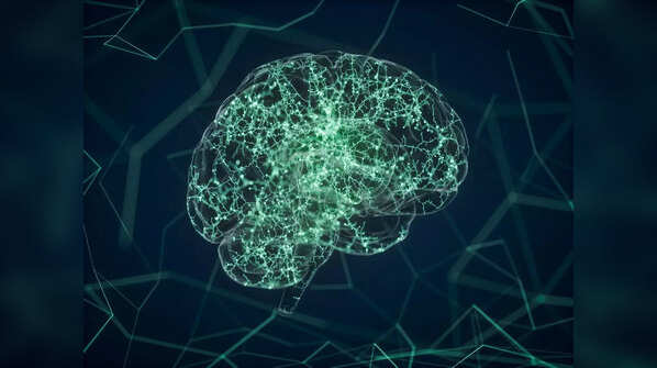 First-ever recording of a dying brain