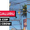 Article image for: Watch: Traffic cop climbs 30 feet to rescue crow stuck on hoarding frame