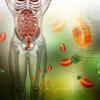 Keep the digestive fire going