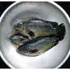 ​What is Tilapia fish?
