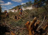 Pictures of Collapse, contamination: Mexican scientists sound alarm at Mayan Train