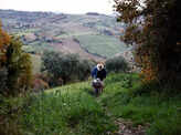 Interesting story of Italy's 'harmonious walnut tribe' in pictures