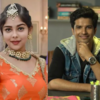 Article image for: From <i class="tbold">niharika chouksey</i> to Paras Priyadarshan; TV celebs who quit Yeh Rishta Kya Kehlata Hai's 3rd generation within a year