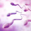 ​Case of bilateral orchitis in a 37-year-old man