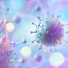 ​"It is the most transmissible subvariant that has been detected yet"