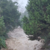 Article image for: <i class="tbold">california</i> reels from 'endless' storm onslaught
