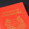 Article image for: <i class="tbold">singapore</i>