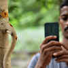 Tree Ganesh
