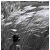 Article image for: <i class="tbold">pather panchali</i>