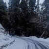 Article image for: Himachal Pradesh