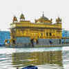 Article image for: <i class="tbold">holy dip</i>