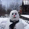 Article image for: It's icy cold in the north