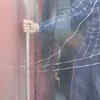Article image for: Stone pelted at <i class="tbold">vande bharat express</i> in Bihar's Katihar