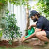   <strong>Passionate about environment</strong>  