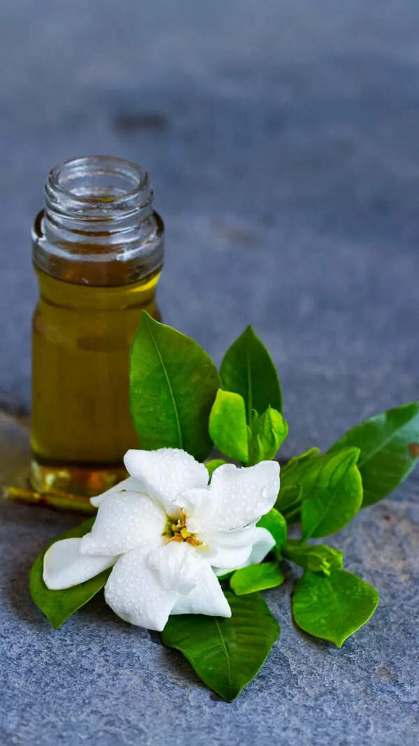 Jasmin