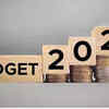 Article image for: <i class="tbold">budget 2023</i>: 'This budget is going to be continuation of govt's policy'