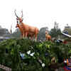 Uttarakhand's tableau depicts the Corbett National Park and Almora's Jageshwar Dham