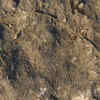 Article image for: 256 fossilised eggs