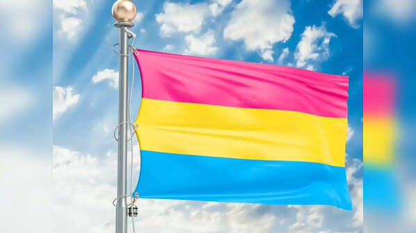 Pansexual