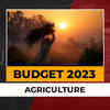 Article image for: 'India is at the forefront of popularising millet,' says Nirmala Sitharaman in Union <i class="tbold">budget 2023</i> speech