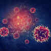 Most common types of cancers