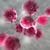 ​<strong>What are the symptoms of stomach cancer? </strong>​