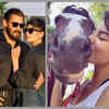 Salman Khan and Jacqueline Fernandez