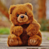 February 10 - Teddy Day