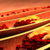 Hardening of the arteries may occur
