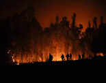 At least 25 killed as wildfires engulf Chile  