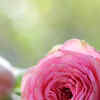 Article image for: <i class="tbold">eternal</i> love