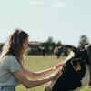 Article image for: <i class="tbold">cow hug day</i>: Importance of Cow & Why It's Worshipped