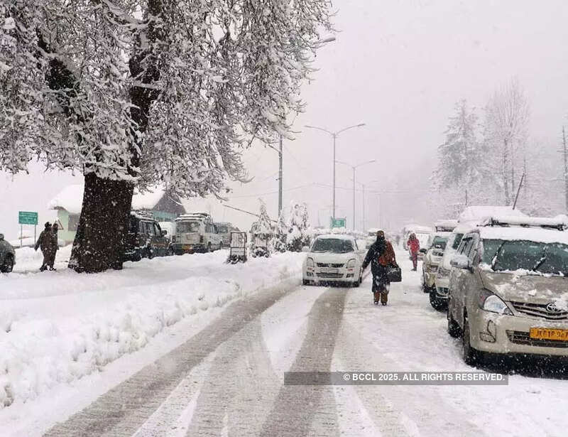 Kashmir Valley receives fresh snowfall