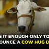 Article image for: <i class="tbold">cow hug day</i>: Does the cow need more care in Delhi?