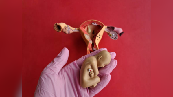 The uterus is three layered