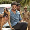 'Naaigal Jaakirathai'