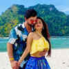 Lovebirds