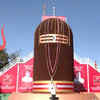Article image for: Gujarat: 31.5 ft long Shivling made of 31 lakh <i class="tbold">rudraksh</i> unveiled in Dharampur