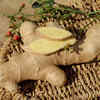 Ginger 