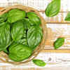 Basil Leaves